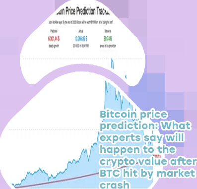 Bitcoin crash prediction