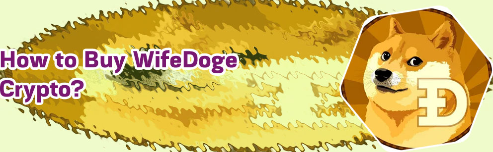 Buy wifedoge crypto