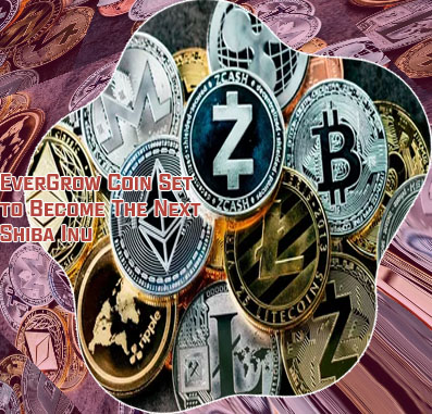 Evergrow cryptocurrency